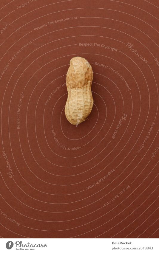 #A# Hard nut II Food Esthetic Simple Exotic Firm Nut Nutshell Brown Delicious Snack Snackbar Peanut Peanut harvest 1 Colour photo Subdued colour Interior shot