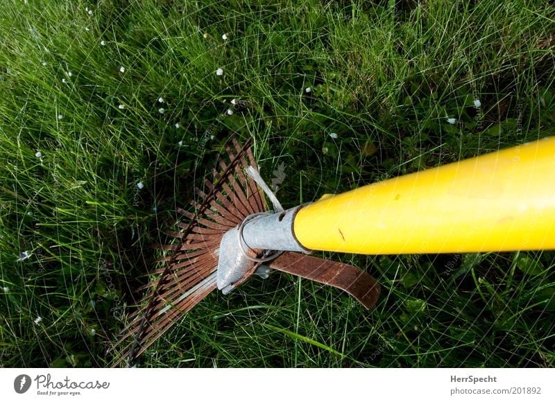 comb the lawn Grass Lawn Garden Metal Rust Plastic Yellow Green Gardening Gardening equipment Rake Colour photo Exterior shot Close-up Detail Copy Space left