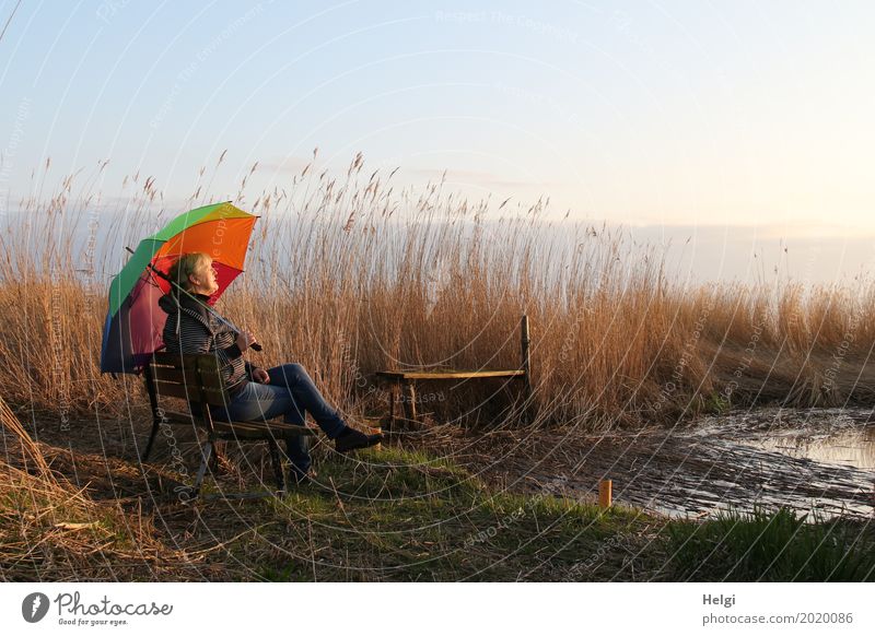 Woman enjoying the evening sun with a colourful umbrella on a bench in the reeds by the lake Human being Feminine Adults Female senior Senior citizen 1