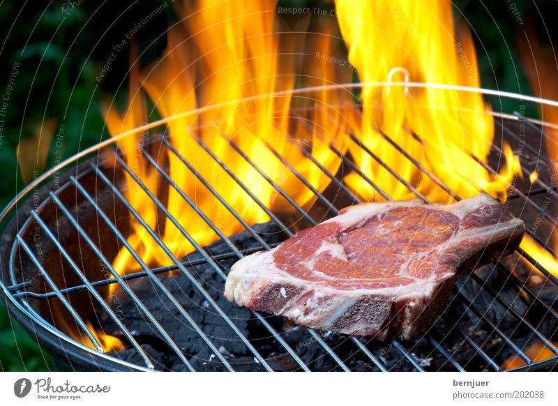Fire & Flame Barbecue (apparatus) Meat Burn Steak Raw Summer Barbecue (event) Warmth Smoke Orange Beef Day Rust Grating Grill Charcoal (cooking) BBQ season