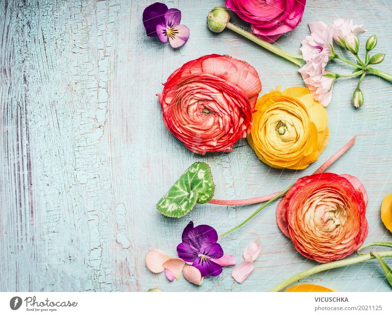 Summer Flowers Composing Style Design Garden Feasts & Celebrations Mother's Day Birthday Nature Plant Rose Decoration Bouquet Blossoming Love Pink