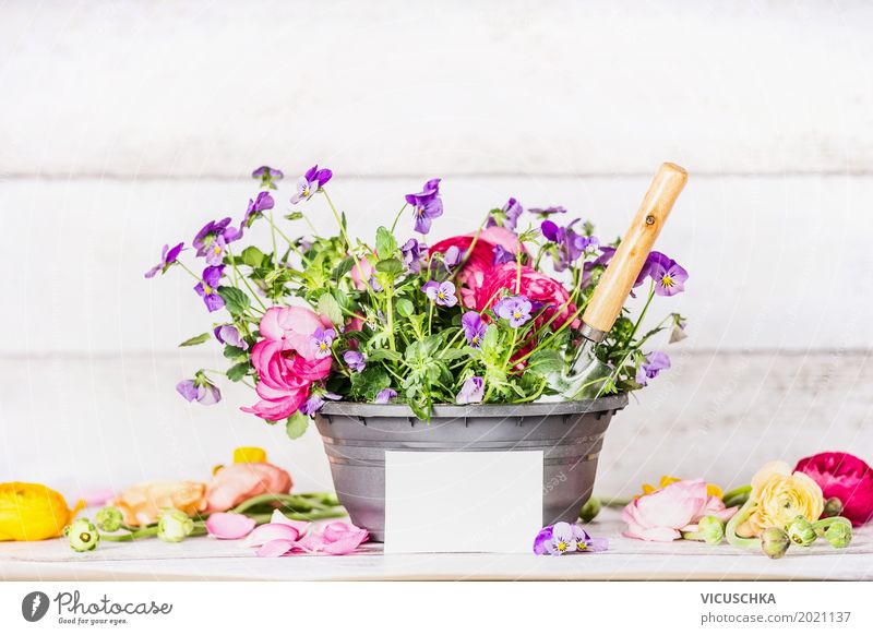 Flower pot with shovel and greeting card Style Design Leisure and hobbies Summer Garden Interior design Decoration Nature Plant Sand Spring Leaf Blossom