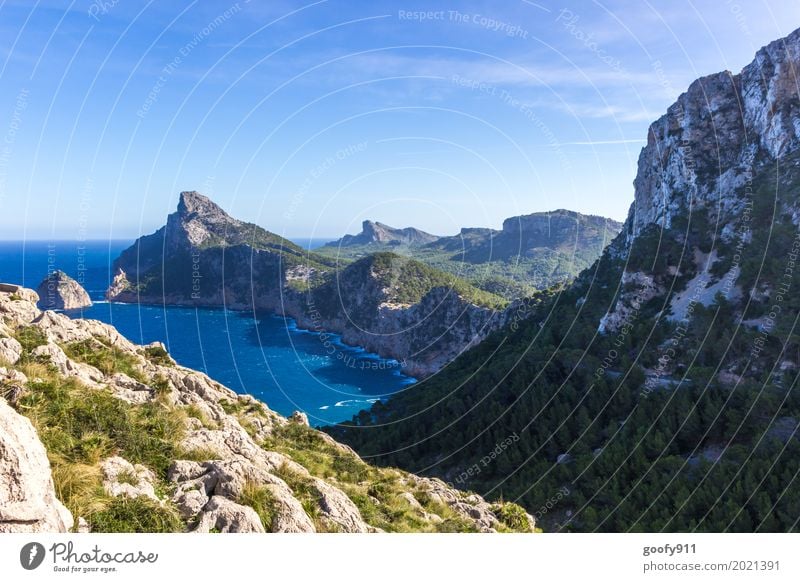 Majorca's Coast Environment Nature Landscape Plant Animal Air Water Sky Sun Summer Beautiful weather Warmth Bushes Hill Mountain Bay Ocean Spain Europe