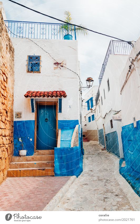 Blue miracle Town Capital city Downtown Old town House (Residential Structure) Living or residing Rabat Blue-white Facade Sidestreet Alley Narrow Roof terrace
