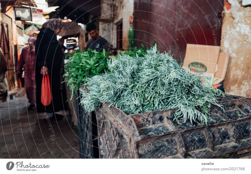souk Herbs and spices Village Fishing village Small Town Old town Pedestrian precinct Poverty Markets Market day Morocco Thyme Medicinal plant Market stall