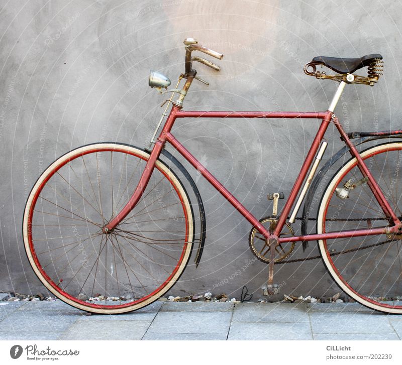 My beloved red bicycle Elegant Style Leisure and hobbies Trip Freedom Bicycle Summer Wall (barrier) Wall (building) Rust Old Esthetic Hip & trendy Original