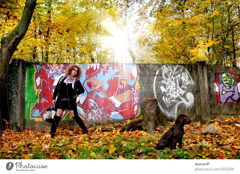 Crazy Girl goes for a walk Woman Lady Clothing Bag Boots Dog Puppy Walk the dog To go for a walk Forest Tree Wall (barrier) Painting (action, artwork) painting
