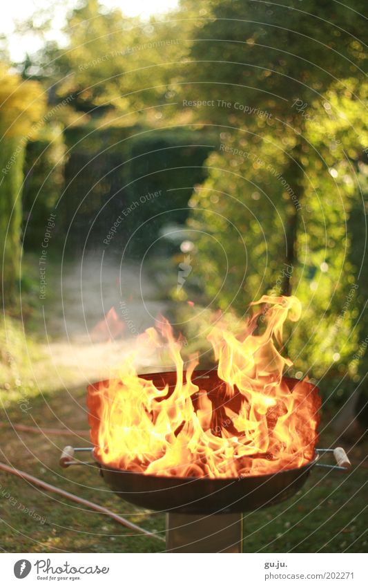 THE FLAMING GRILL MK IV Summer Garden Nature Plant Fire Beautiful weather Warmth Lanes & trails Barbecue (apparatus) Hose Hot Bright Yellow Red Flame Green Burn