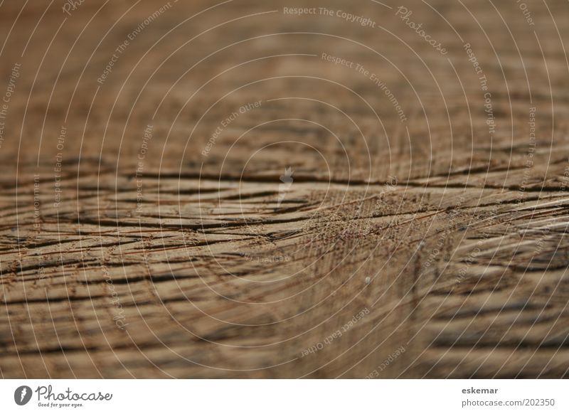 wood Wood Line Stripe Net Old Authentic Sharp-edged Natural Brown Experience Transience Furrow Notches Structures and shapes Pattern Tracks Colour photo