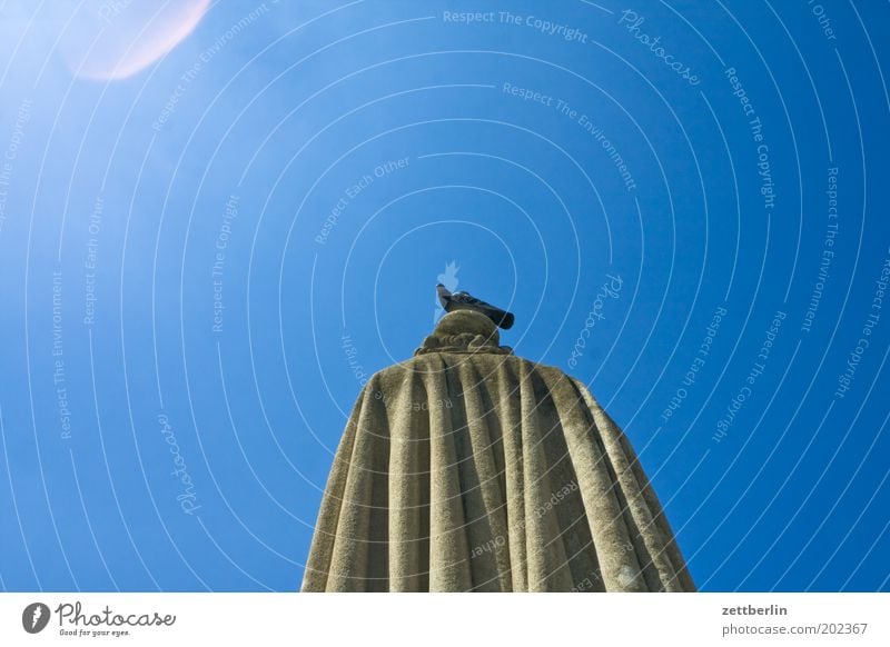 Pigeon on monument Paris France Pantheon Monument Statue Back Coat Cape Bird Sit Back of the head Sky Summer Beautiful weather Cloudless sky Blue
