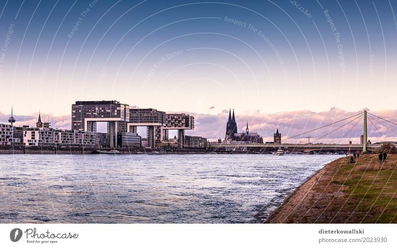 Panorama Cologne Town Dome Tourist Attraction Monument Bridge Inland navigation Beautiful Severins bridge Cologne Cathedral Skyline Rhine Navigation Dusk