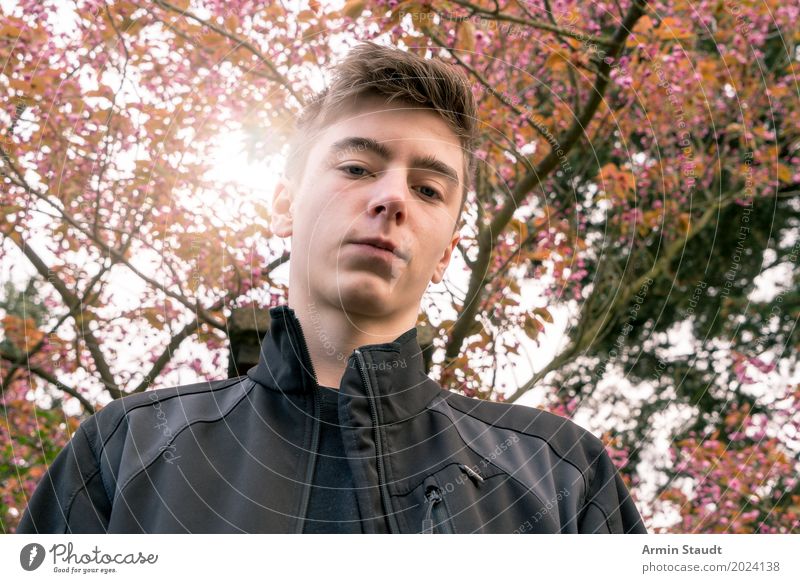 Portrait under tree Lifestyle Style Beautiful Harmonious Calm Garden Human being Masculine Young man Youth (Young adults) 13 - 18 years Nature Landscape Plant