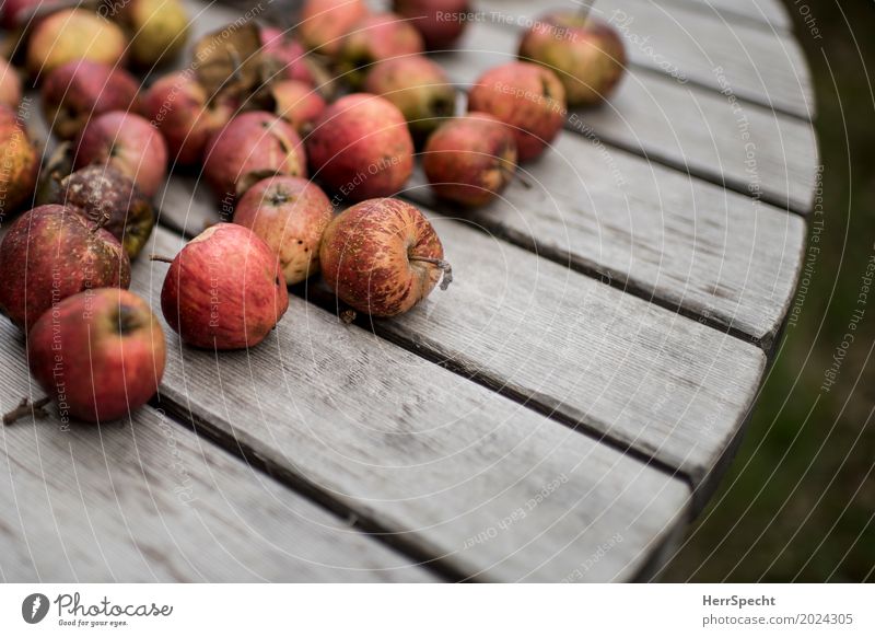 farm apples Food Fruit Apple Nutrition Organic produce Vegetarian diet Natural Juicy Sour Brown Red Authentic Wooden table Subdued colour Exterior shot Close-up