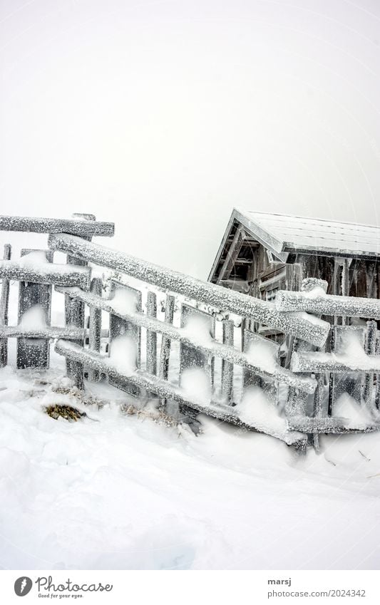 Winter magic after the storm Bad weather Ice Frost Snow Hut Wooden fence Cold Frozen Fence Subdued colour Exterior shot Pattern Deserted Copy Space top Morning