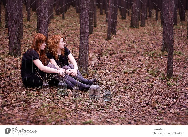 2 Dress Tights Red-haired Long-haired Curl Moody Beautiful Sadness Siberia silence Sister Forest Branch Evening Rain Autumn Foliage plant Tree Nostalgia