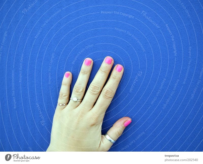 hand Feminine Young woman Youth (Young adults) Hand Fingers Wall (barrier) Wall (building) Accessory Jewellery Ring Blue Pink Kitsch Colour photo