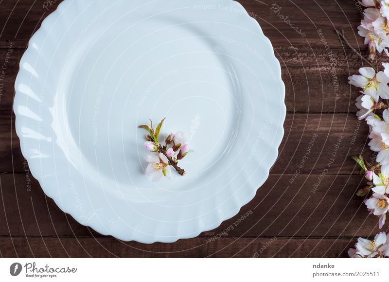 empty plate with a branch of flowering almond Lunch Dinner Plate Cutlery Table Kitchen Restaurant Flower Wood Old Above Retro Brown White Dish Meal