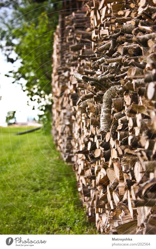 wooden Nature Wood Stack of wood Firewood Supply Many Colour photo Exterior shot Day Contrast Central perspective Fuel Shallow depth of field