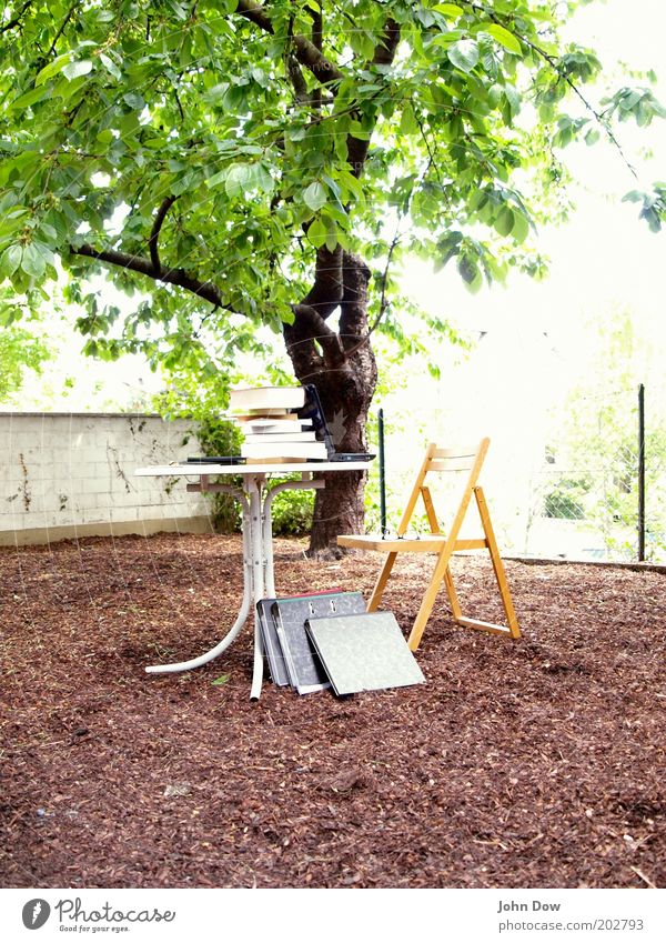 lein Air Studying Education Academic studies Workplace Summer Beautiful weather Tree Bushes Garden Stationery File Sustainability Nature Folding chair