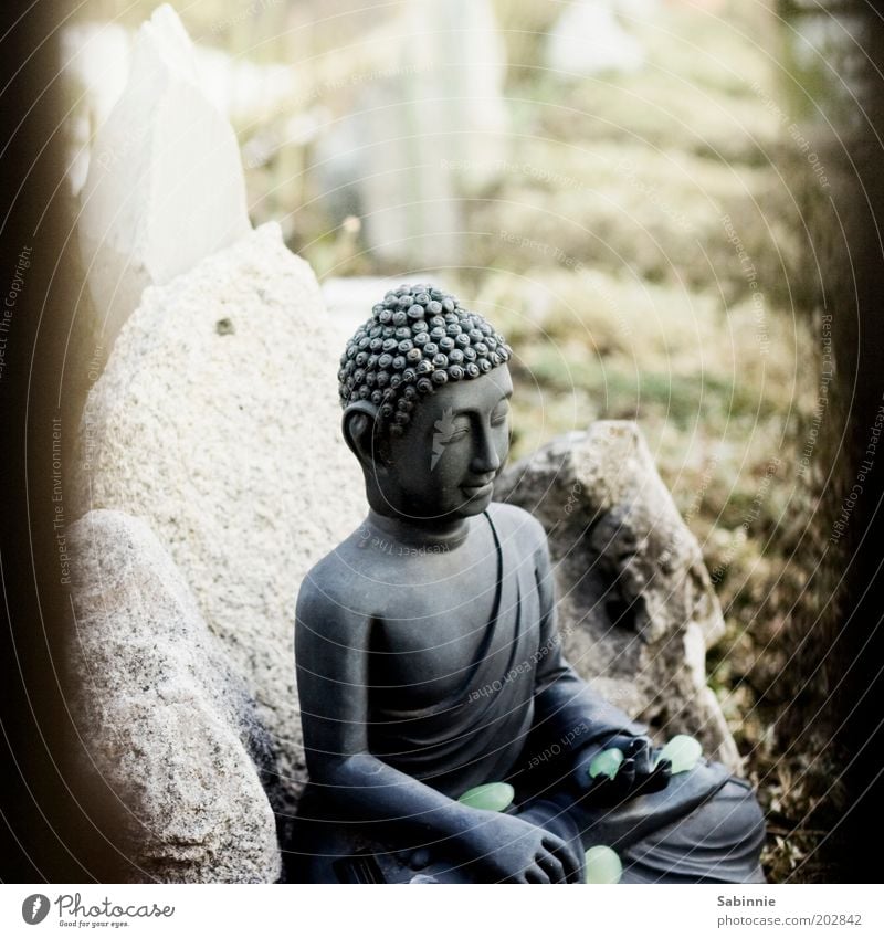 Allotment garden Zen - a Royalty Free Stock Photo from Photocase