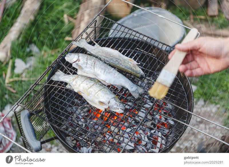 Barbecuing fish is better than barbecuing fishing Food Meat Fish Herbs and spices Nutrition Eating Dinner Healthy Eating Living or residing Flat (apartment)