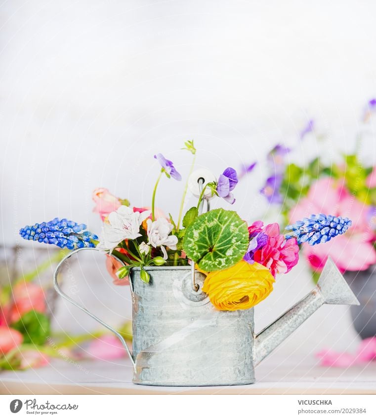 Watering can with colorful garden flowers on the table Style Design Leisure and hobbies Summer Living or residing Interior design Decoration Nature Plant Spring