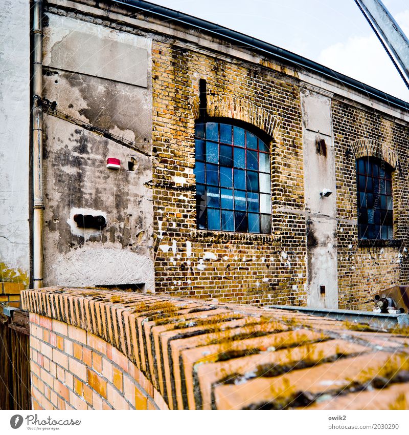 clinker Factory Manmade structures Building Wall (barrier) Wall (building) Facade Window Old Historic Past Transience Dignity Brick facade Brick wall