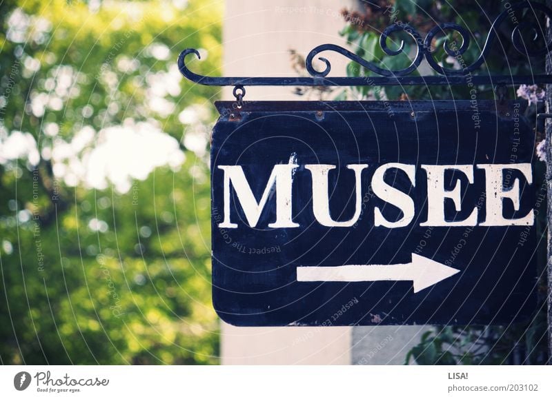 musée Exhibition Museum Tree Green Black White Signs and labeling Entrance Arrow Road marking Groundbreaking Trend-setting Direction Letters (alphabet)