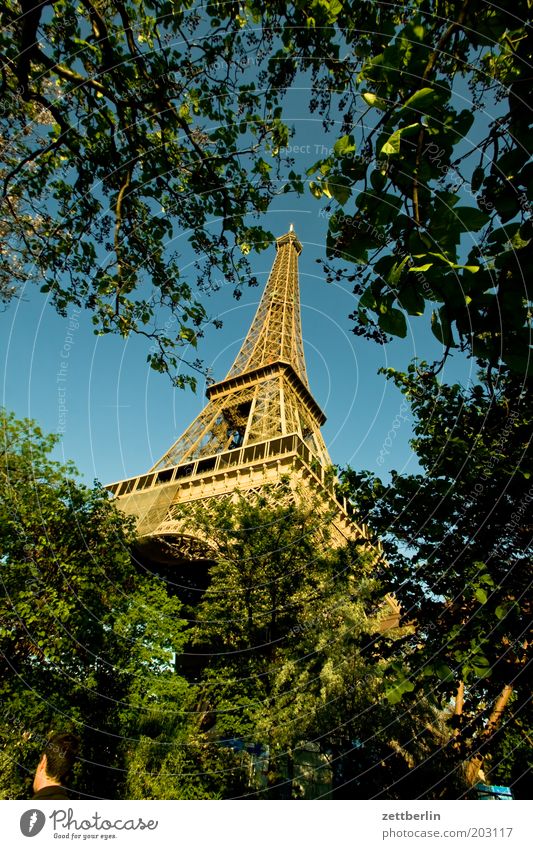 The Eiffel Tower greets us daily Paris France Landmark Construction Steel carrier Steel construction Structural engineering Prop Crossbeam Park Champs de Mars