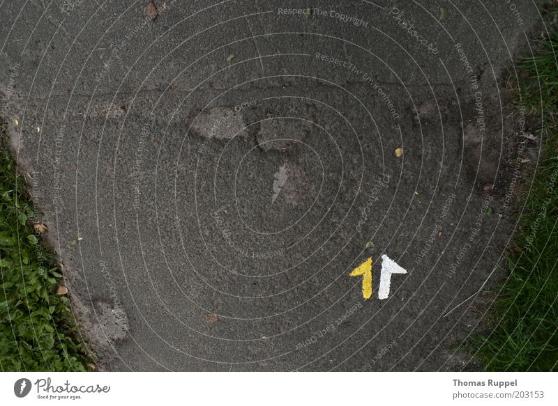 Upstairs, right? Traffic infrastructure Lanes & trails Trend-setting Direction Concrete Sign Signs and labeling Road sign Arrow Free Yellow Gray Green White