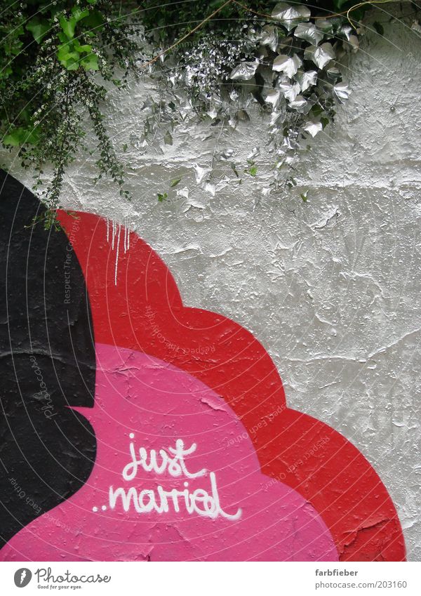 just married Ivy Deserted Wall (barrier) Wall (building) Graffiti Cool (slang) Glittering Hip & trendy Cold Green Pink Red Black Silver Happy Together Love