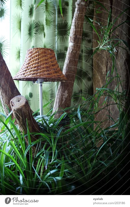 A little light stands in the forest... Plant Tree Grass Bushes Fern Pot plant Exotic Decoration Kitsch Odds and ends Exceptional Green Lamp Yucca Palm tree