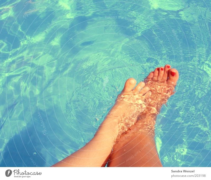 Feet in the pool Pedicure Nail polish Wellness Well-being Relaxation Swimming & Bathing Legs 2 Human being Barefoot Touch Movement Together Trust Safety