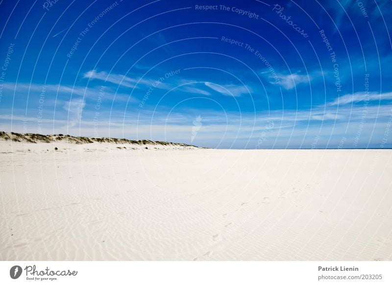 Spiekeroog in summer Nature Landscape Sky Sky only Clouds Summer Beautiful weather Wind Hill Coast Beach North Sea Island Discover Sand Blue Freedom