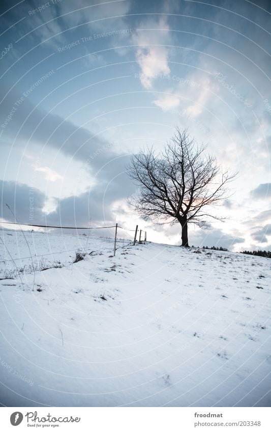hot outdoors Environment Nature Plant Sky Clouds Winter Climate Beautiful weather Ice Frost Snow Tree Cold Sadness Loneliness Hill Fence Gloomy Grief Silhouette