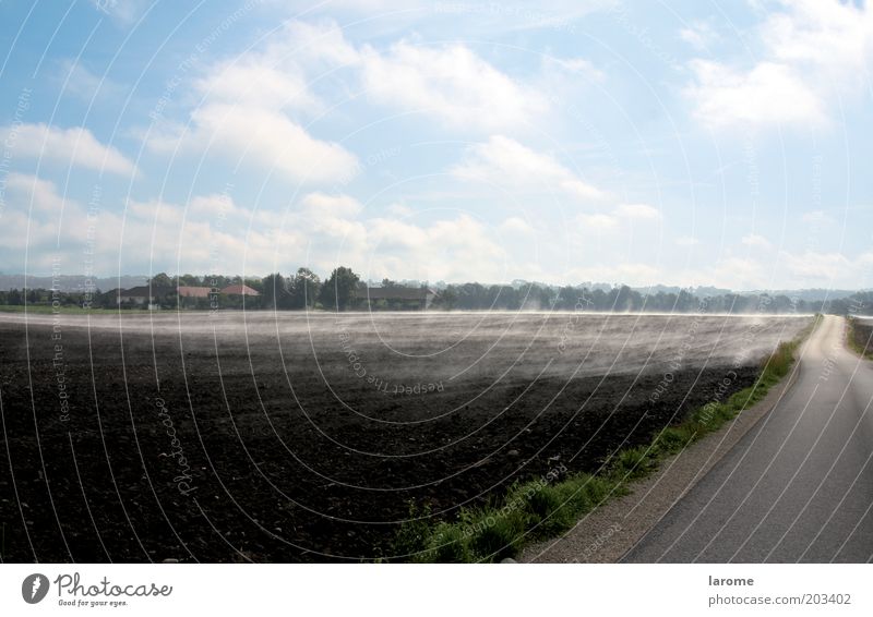 Morning haze II Nature Landscape Earth Autumn Beautiful weather Field Street Environment Colour photo Exterior shot Deserted Copy Space top