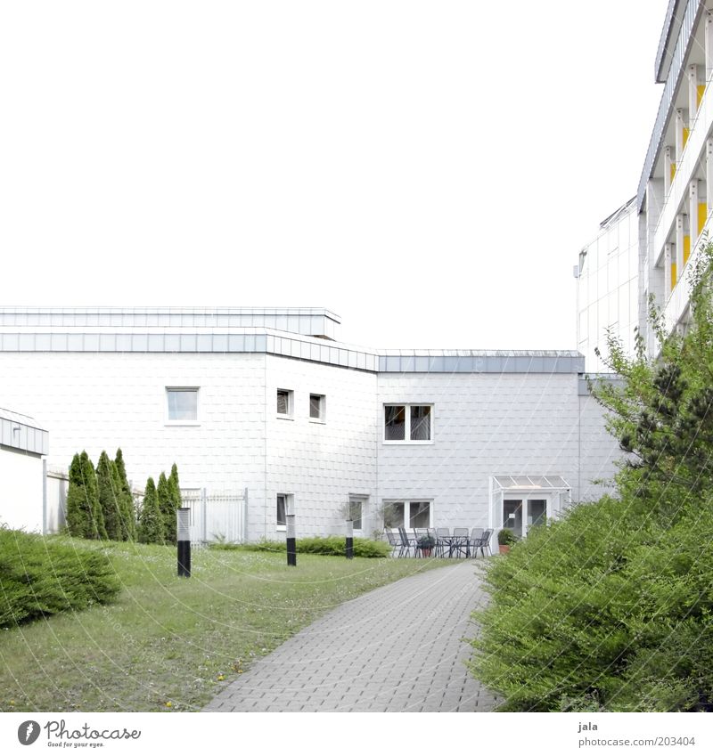 green Sky Tree Bushes Garden Deserted House (Residential Structure) Building Architecture Facade Window Bright Green White Lanes & trails Colour photo