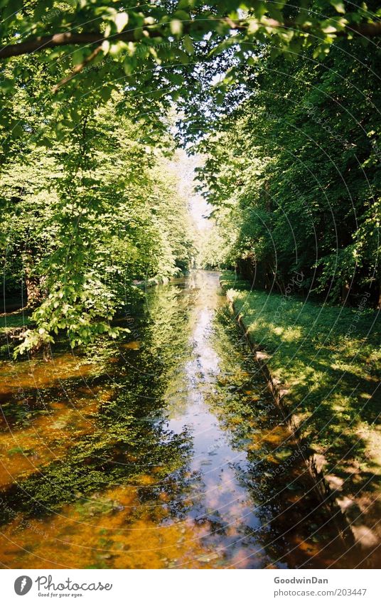 analog sky passage Environment Nature Landscape Plant Earth Water Climate Weather Beautiful weather Brook Emotions Moody Colour photo Multicoloured