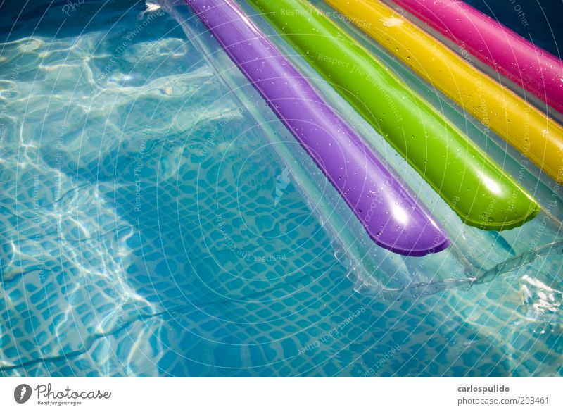 Pool (game) Summer Summer vacation Sun Swimming & Bathing To enjoy Tourism Swimming pool Water Health Spa Blue Colour photo Exterior shot Deserted Day Sunlight