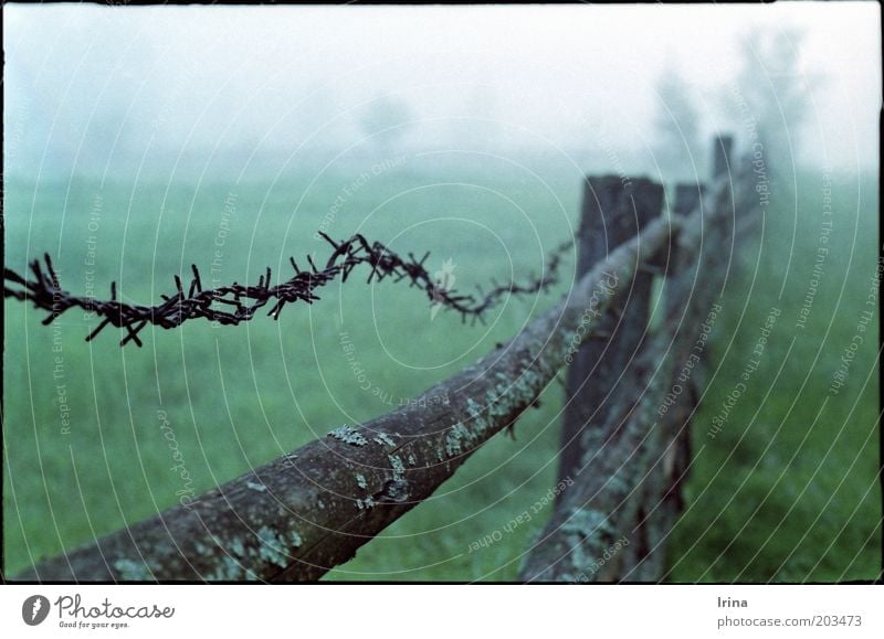 insomnia Meadow Moody Calm Building line Fog Dawn Morning fog Fence Barbed wire Border Pasture Wooden fence Exterior shot Deserted Shallow depth of field