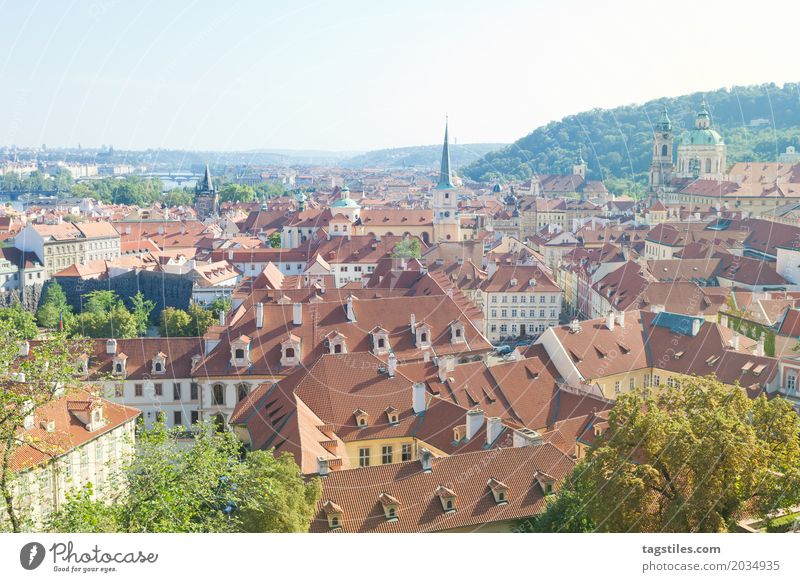 VIEW OVER THE OLD TOWN OF PRAGUE Prague The Moldau Blue Vacation & Travel Travel photography Nature Forest Tree Czech Republic Lighting Town Europe City trip
