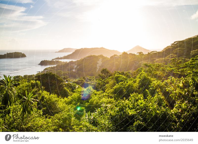 Sunset Seychelles Mahe Island Environment Nature Landscape Plant Water Sky Clouds Sunrise Sunlight Summer Beautiful weather Tree Exotic Forest Virgin forest