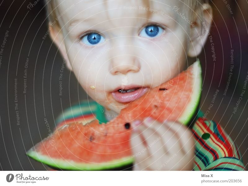 800 x Food Fruit Nutrition Eating Child Toddler Boy (child) Infancy 1 - 3 years Fresh Healthy Juicy Sweet Appetite Melon Water melon Eyes Vitamin Eye colour