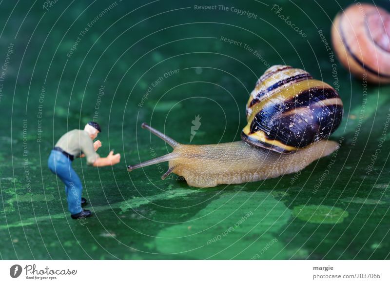 Thanks to Photocase this: Miniature figure with snails Human being Masculine Man Adults 1 Animal Wild animal Snail Animal face 2 Green Landscape format Spiral