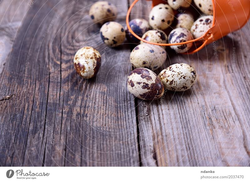 Scattered from a bucket quail eggs Nutrition Breakfast Diet Table Easter Wood Fresh Small Above Gray Egg Shell food Edible Raw Useful Tasty Fragile Ingredients