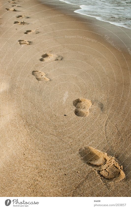Traces in the sand Healthy Wellness Relaxation Cure Freedom Beach Ocean Nature Landscape Sand Coast Baltic Sea Lanes & trails Footprint Going Past Transience