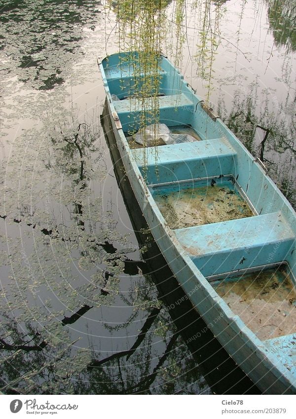 Boat at sea Nature Water Tree Willow-tree Pond Lake Beijing China Asia Rowboat Old Blue Serene Calm Loneliness Idyll Colour photo Exterior shot Deserted Day