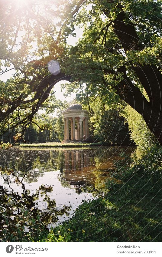 Pavilion II Beautiful Calm Nature Weather Beautiful weather Warmth Tree Park Lake Discover Looking Bright Deserted Reflection Air Vista