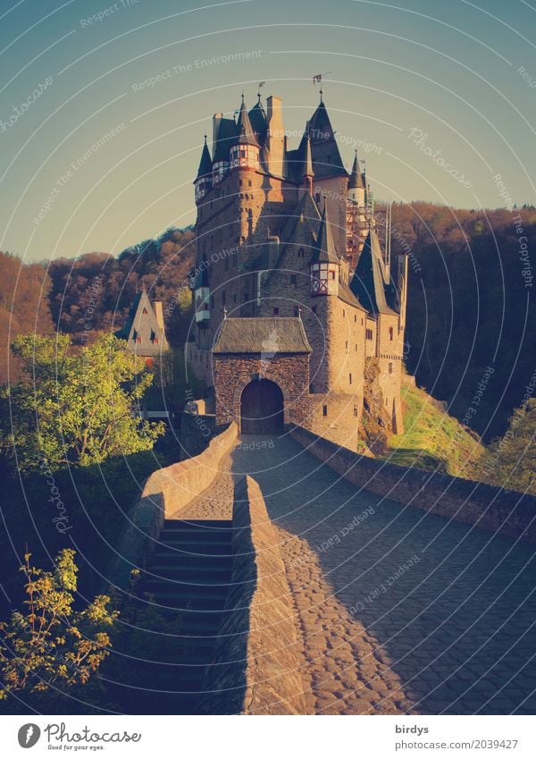 somewhere eltz Vacation & Travel Tourism Summer vacation Nature Cloudless sky Spring Forest Mountain Hunsrück Deserted Castle Tourist Attraction Esthetic