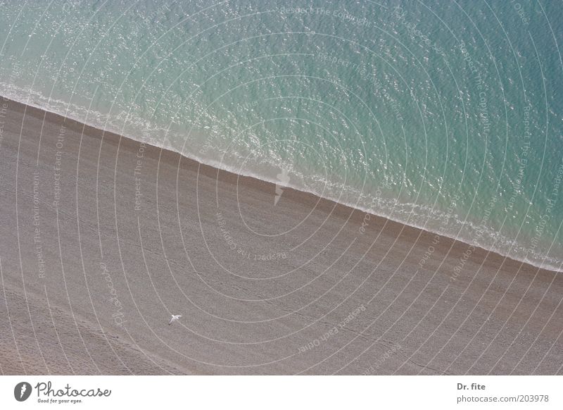see the sea Nature Elements Sand Water Summer Waves Coast Blue Brown Wanderlust Colour photo Exterior shot Aerial photograph Deserted Copy Space top